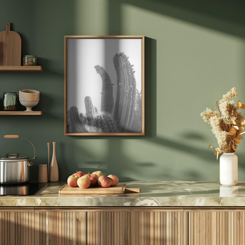 Cactus Poster